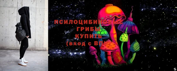 спиды Билибино