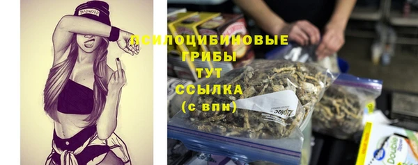 бошки Бикин