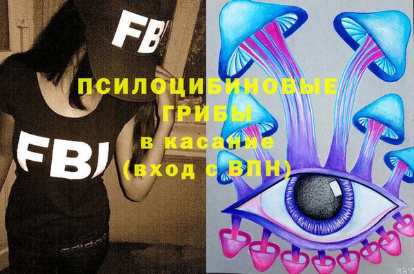 PSILOCYBIN Переславль-Залесский
