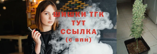 шишки Лабытнанги