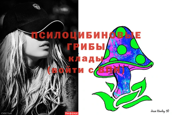 PSILOCYBIN Переславль-Залесский