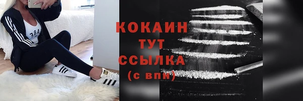 PSILOCYBIN Переславль-Залесский