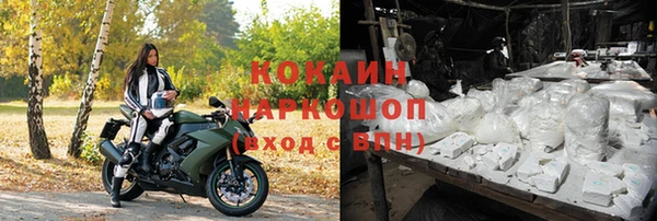 ГАЛЛЮЦИНОГЕННЫЕ ГРИБЫ Пересвет