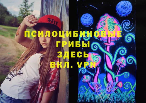 ГАЛЛЮЦИНОГЕННЫЕ ГРИБЫ Пересвет