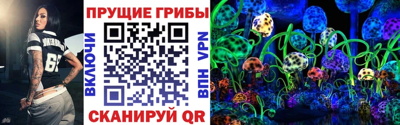 Галлюциногенные грибы Cubensis  где продают   Куртамыш 